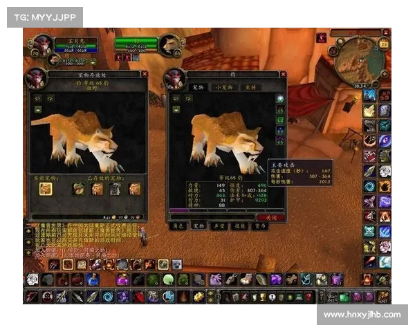 魔兽世界怀旧服宝宝经验获取攻略